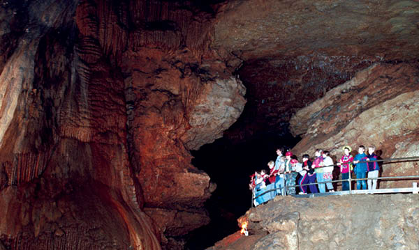 A group of cavers of all ages on a tour overlooking an edge with a railing.