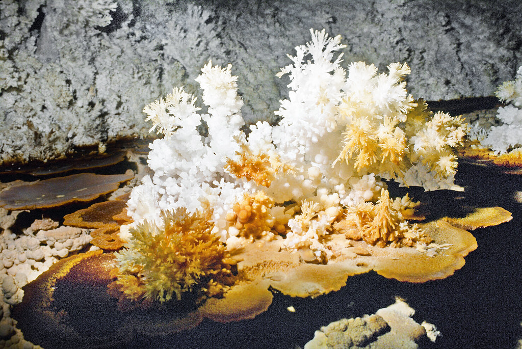 Cave Formations Speleothems You Can See While Spelunking Enter The Cave Formations Speleothems You Can See While Spelunking Enter The