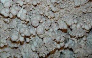Cave Formations (Speleothems) You Can See While Spelunking - Enter the ...