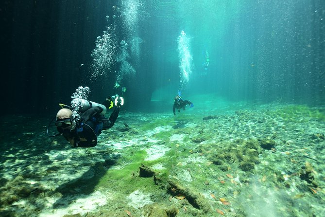 An image shows two divers deep underwater, with bubbles coming out of their snorkels.