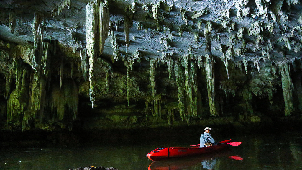 Incredible stalactites hang above a kayaker as he explores the mangrove caves in Thailand.