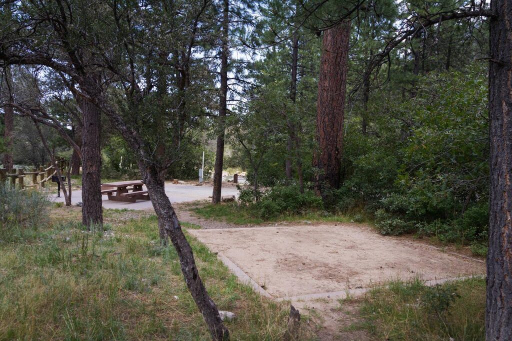 An image shows the open area that is Fletcher View Campground, surrounded by trees and bushes.