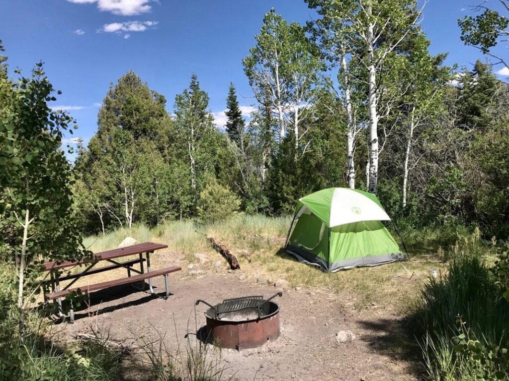 A tent is set up by a picnic bench in the wilderness of Great Basin National Park, one of the many camping sites in Nevada.