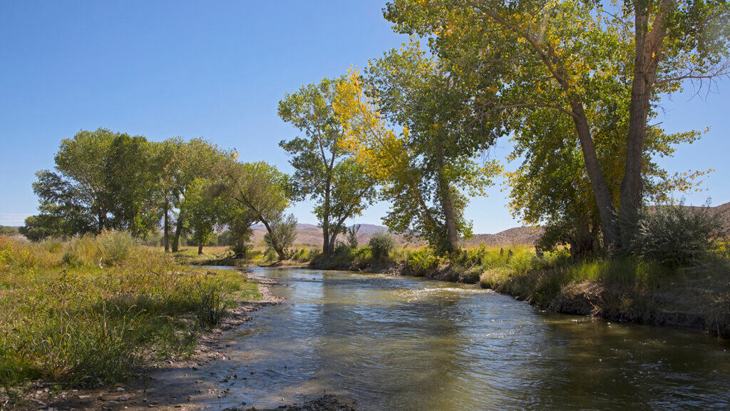 An image of the East Walker River in Nevada, a great site for camping.